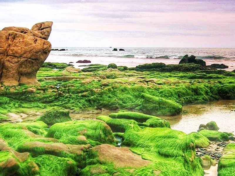 BẬT MÍ NHỮNG HOẠT ĐỘNG GIẢI TRÍ Ở MŨI NÉ PHAN THIẾT THÚ VỊ