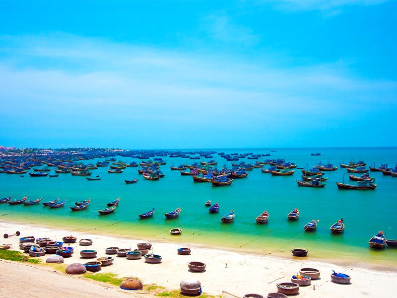 Cưỡi Lạc Đà Mũi Né - Khám phá đồi cát hoang dã đầy huyền bí: