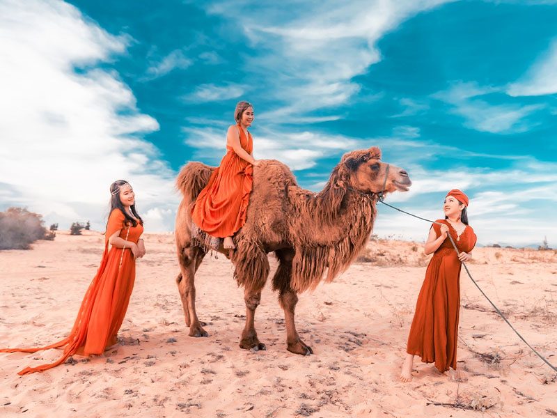 Lưu ý khi tham gia tour cưỡi lạc đà, ngắm cảnh Bàu Trắng:
