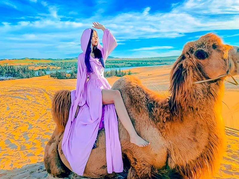 Cưỡi Lạc Đà Mũi Né - Khám phá văn hóa địa phương