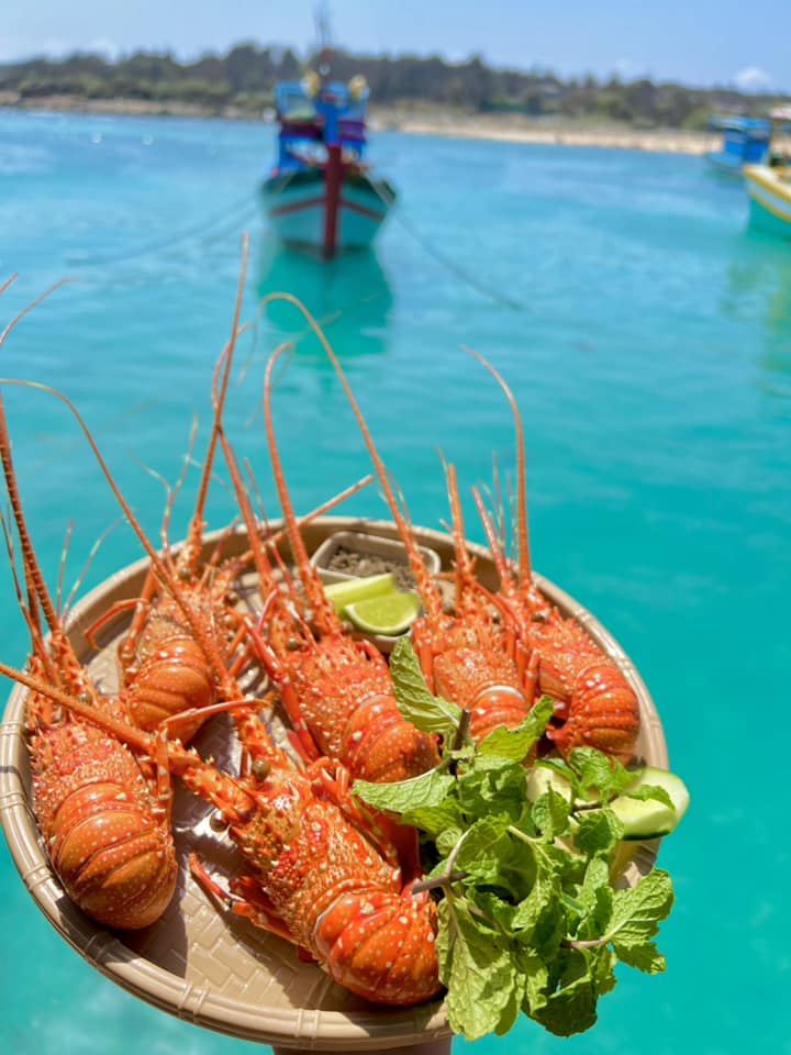 Du lịch Phú Quý từ Sài Gòn - Kinh nghiệm du lịch: