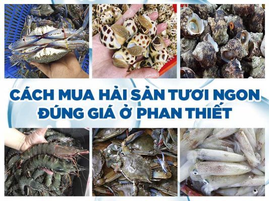 Cách mua hải sản tươi ngon đúng giá ở phan thiết