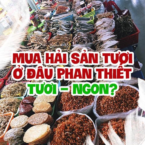 Mua hải sản tươi ở đâu Phan Thiết TƯƠI - NGON?