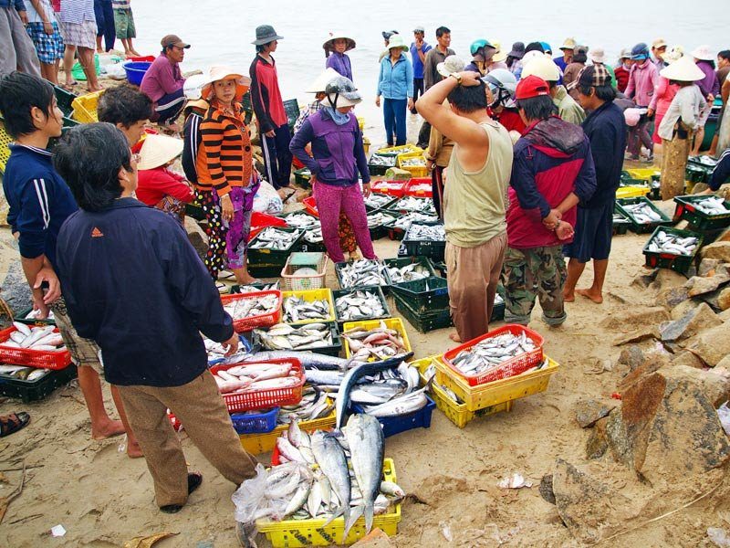 hải sản được chế biến tươi ngon từ chợ Phan Thiết