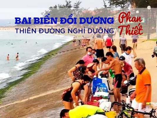 bãi biển đồi dương