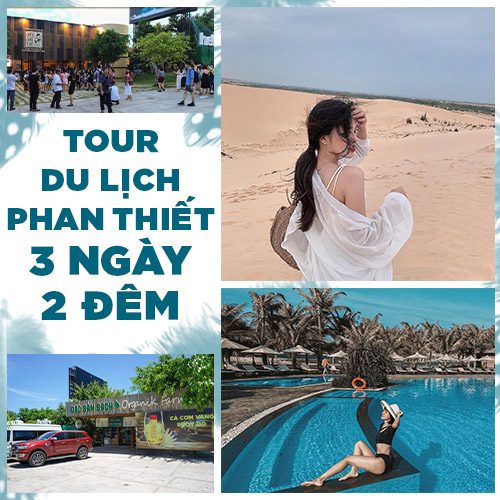 tour du lịch phan thiết