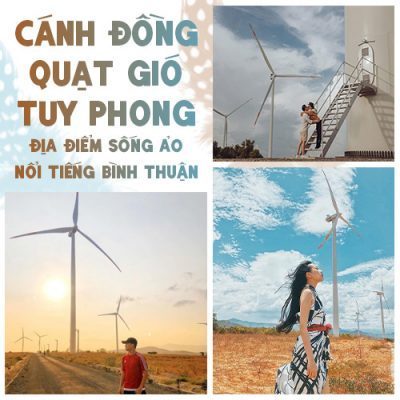 cánh đồng quạt gió tuy phong