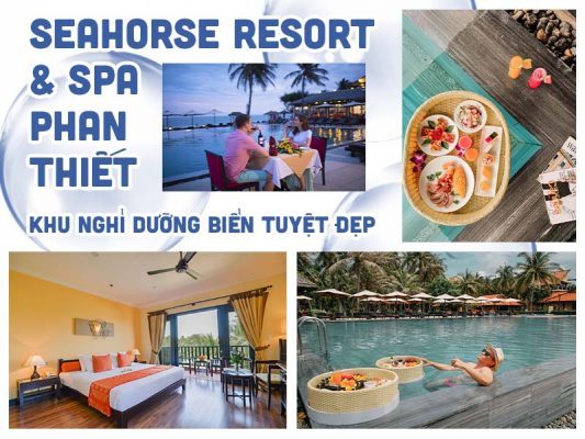 SEAHORSE RESORT & SPA PHAN THIẾT - KHU NGHỈ DƯỠNG BIỂN TUYỆT ĐẸP