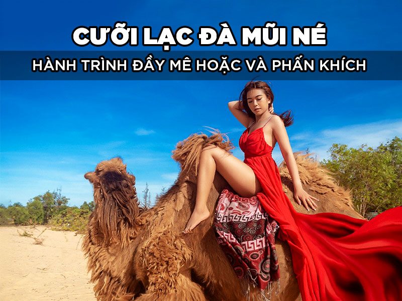 Cưỡi Lạc Đà Mũi Né - Hành Trình Đầy Mê Hoặc và Phấn Khích