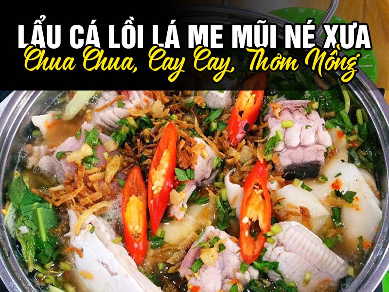 Lẩu Cá Lồi Lá Me Mũi Né Xưa - Chua Chua,Cay Cay,Thơm Nồng