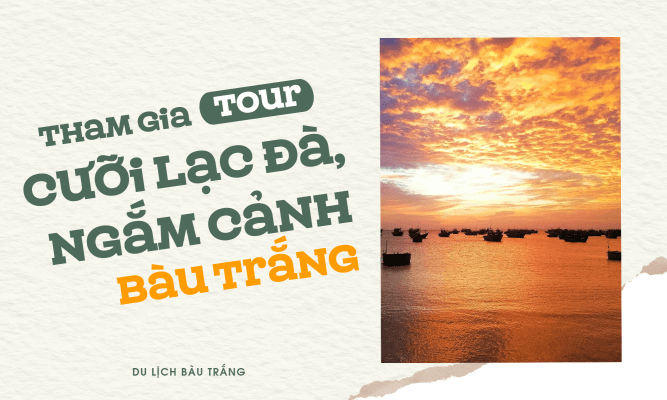 Tham gia tour cưỡi lạc đà, ngắm cảnh Bàu Trắng